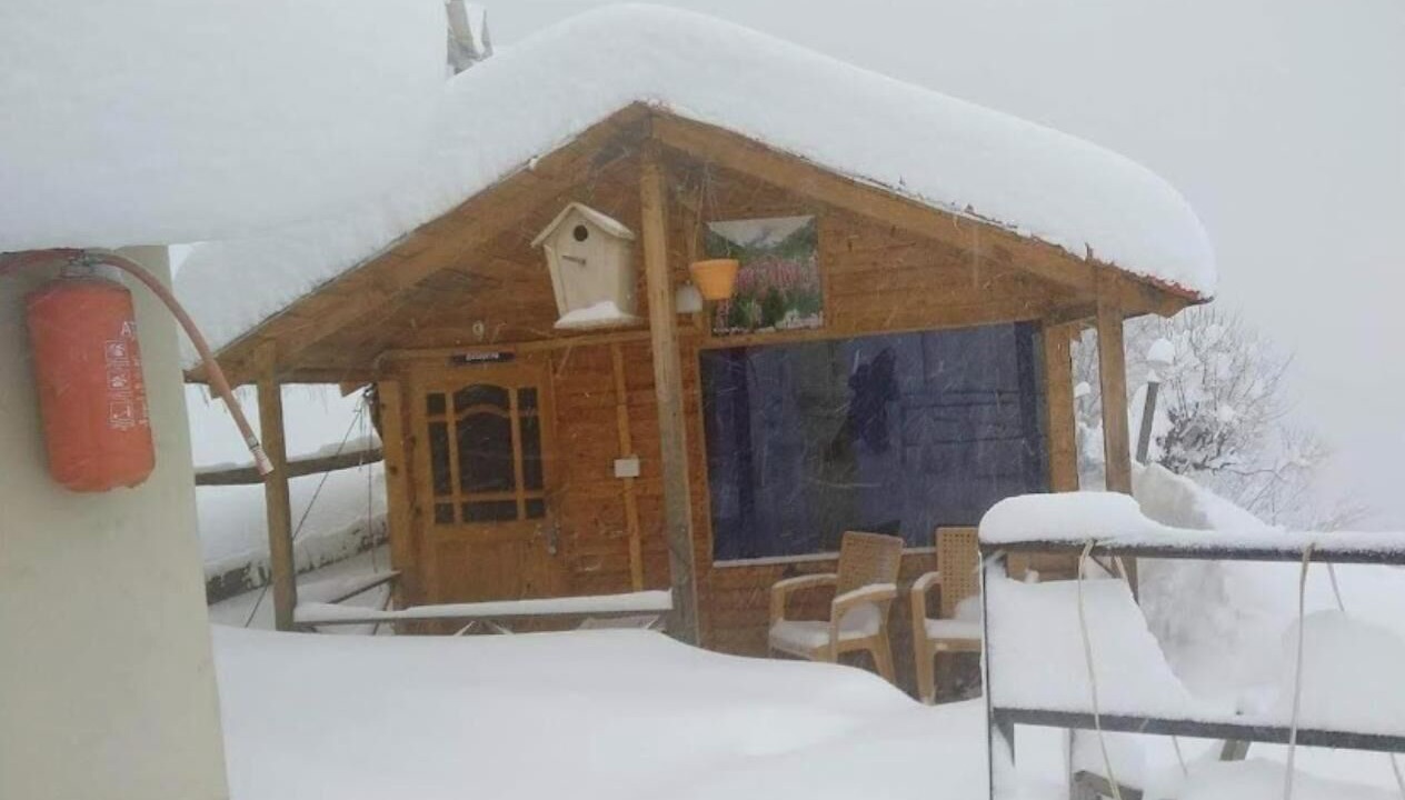 Photo of Bedroom in Auli