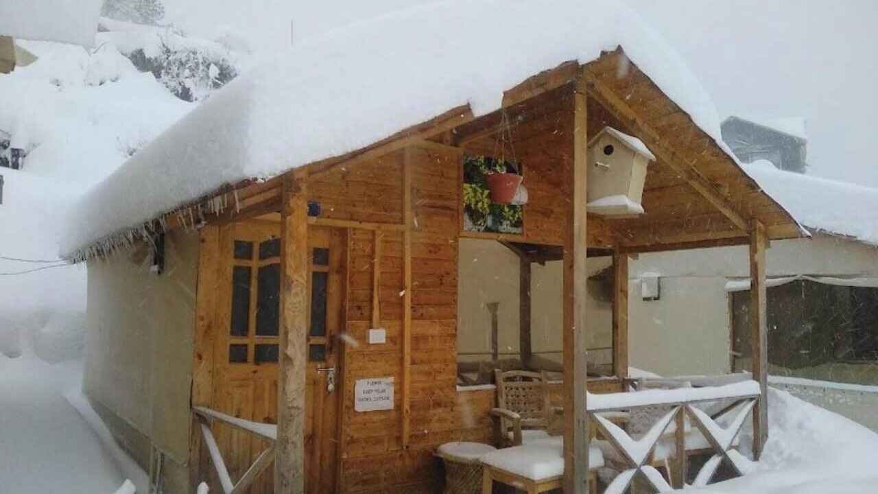 Photo of Others in Auli
