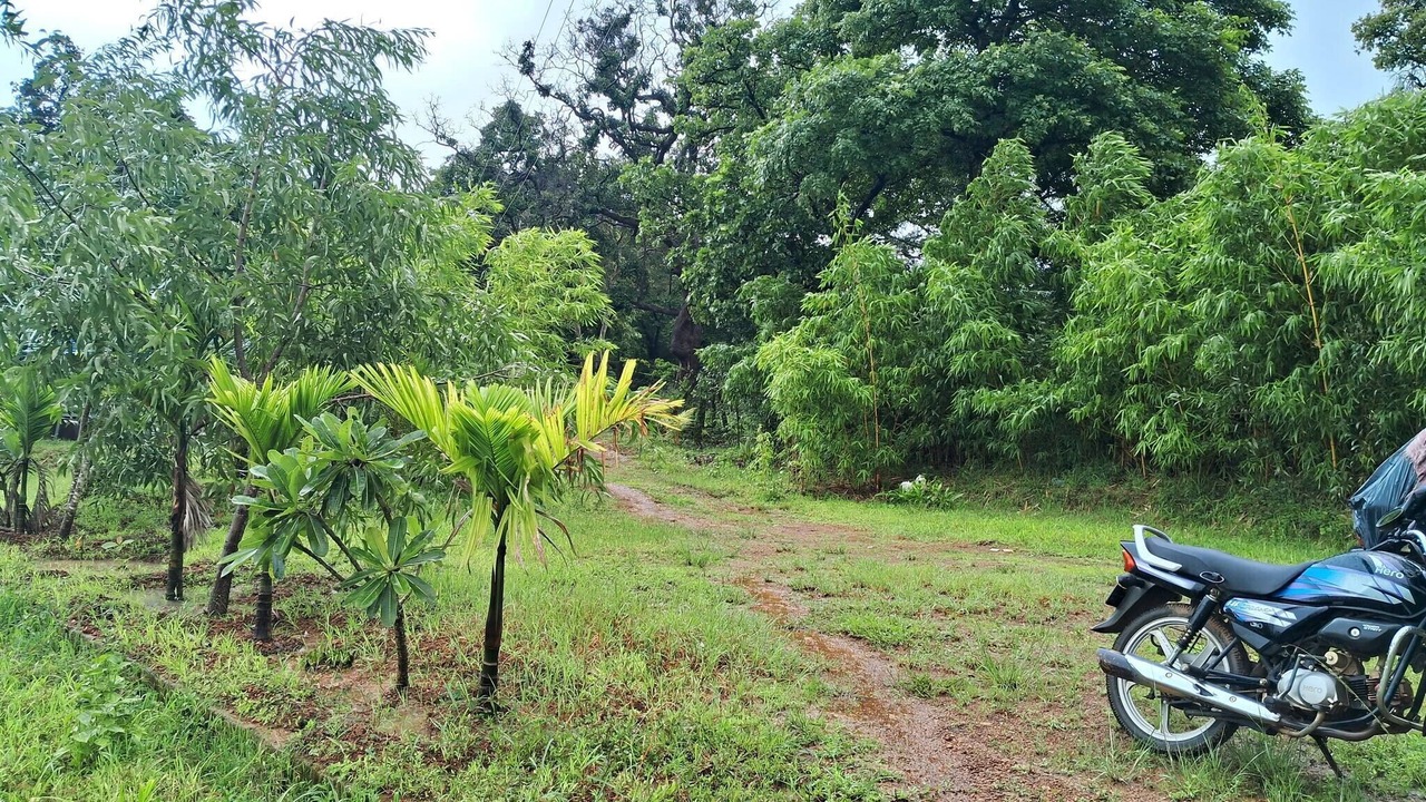 Photo of Outdoor in Timbholi