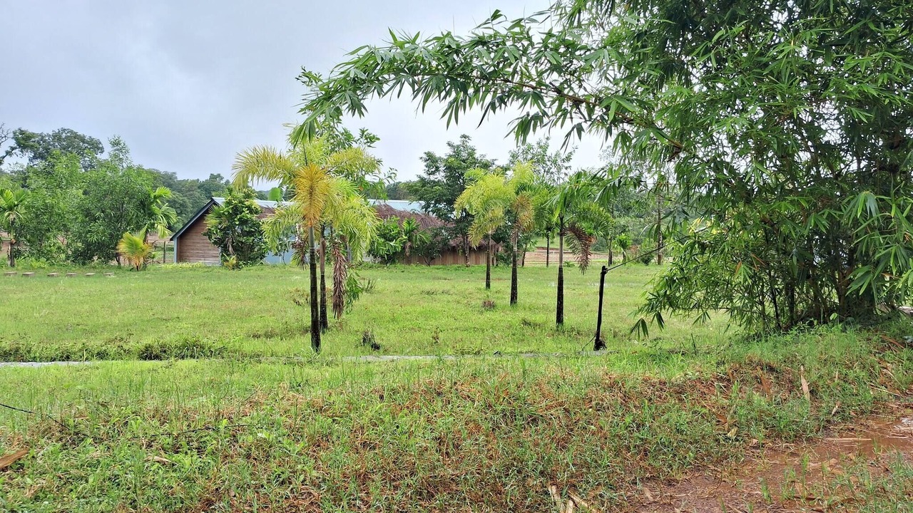 Photo of Others in Timbholi