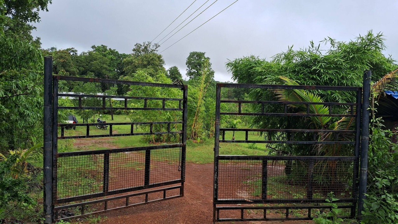 Photo of Outdoor in Timbholi