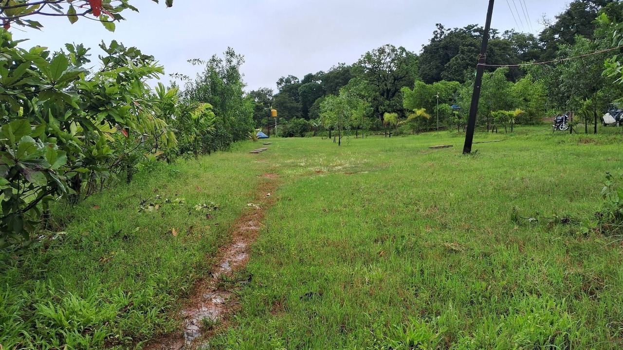 Photo of Outdoor in Timbholi