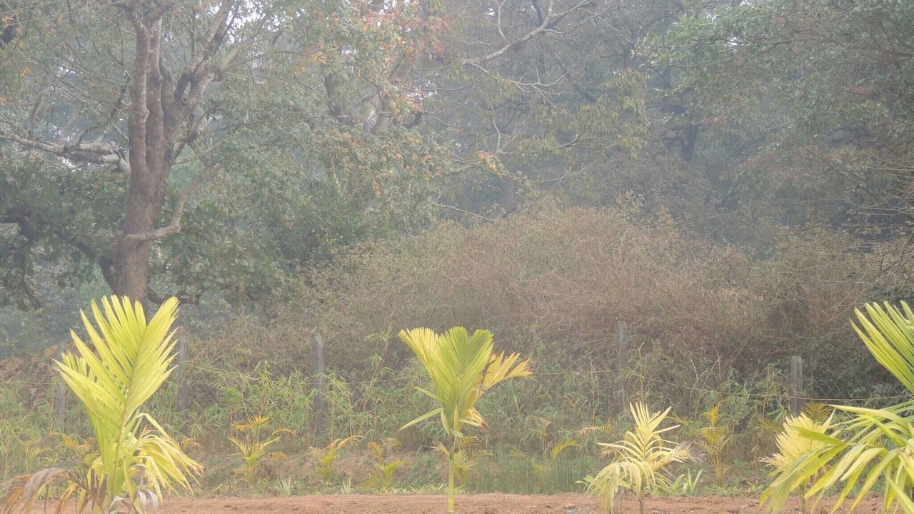 Photo of Others in Timbholi