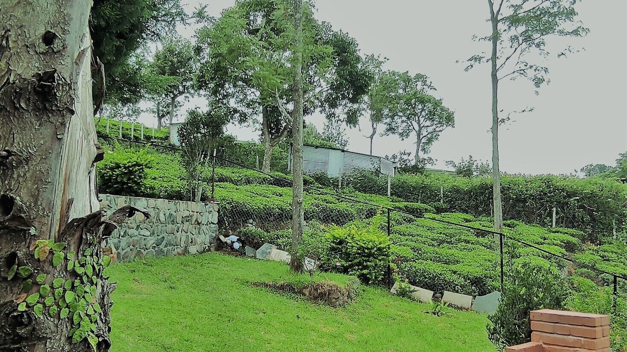 Photo of Outdoor in Kotagiri