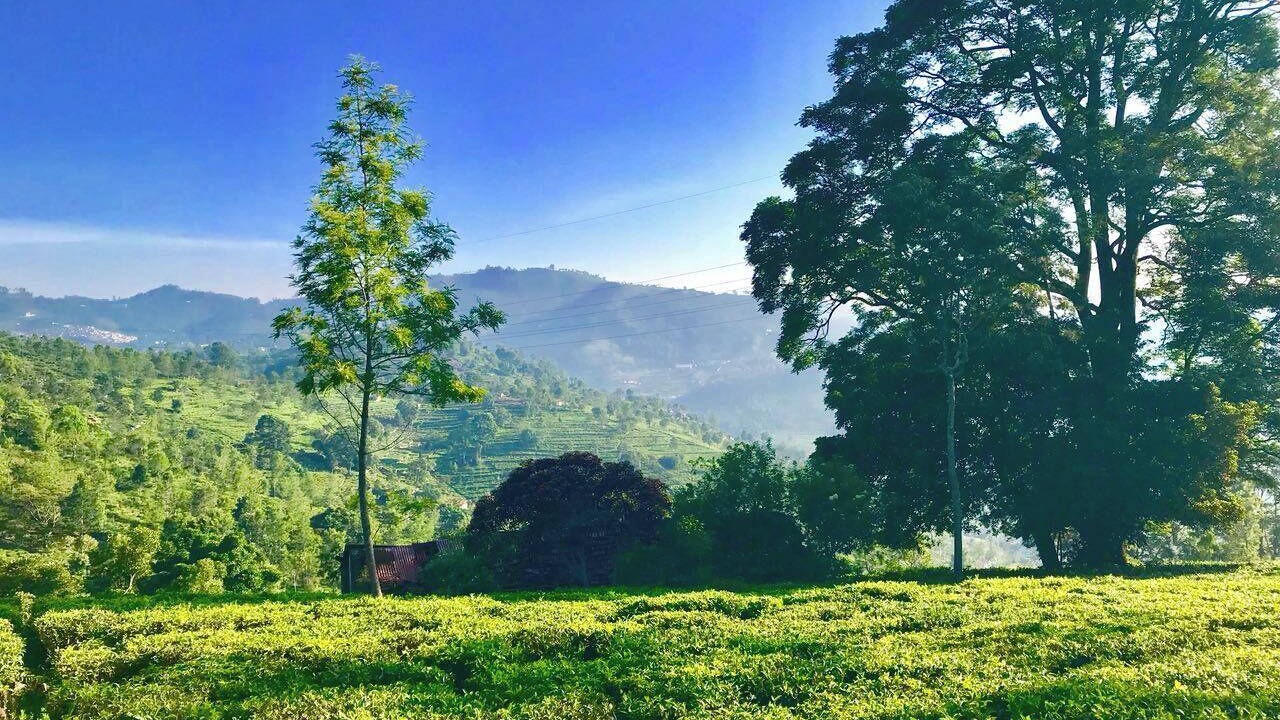 Photo of Outdoor in Kotagiri