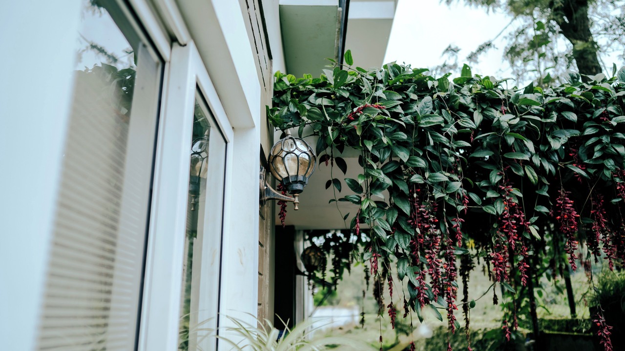 Photo of Outdoor in Kotagiri