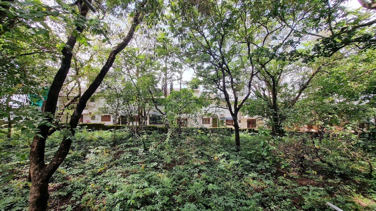 Photo of Outdoor in Marna