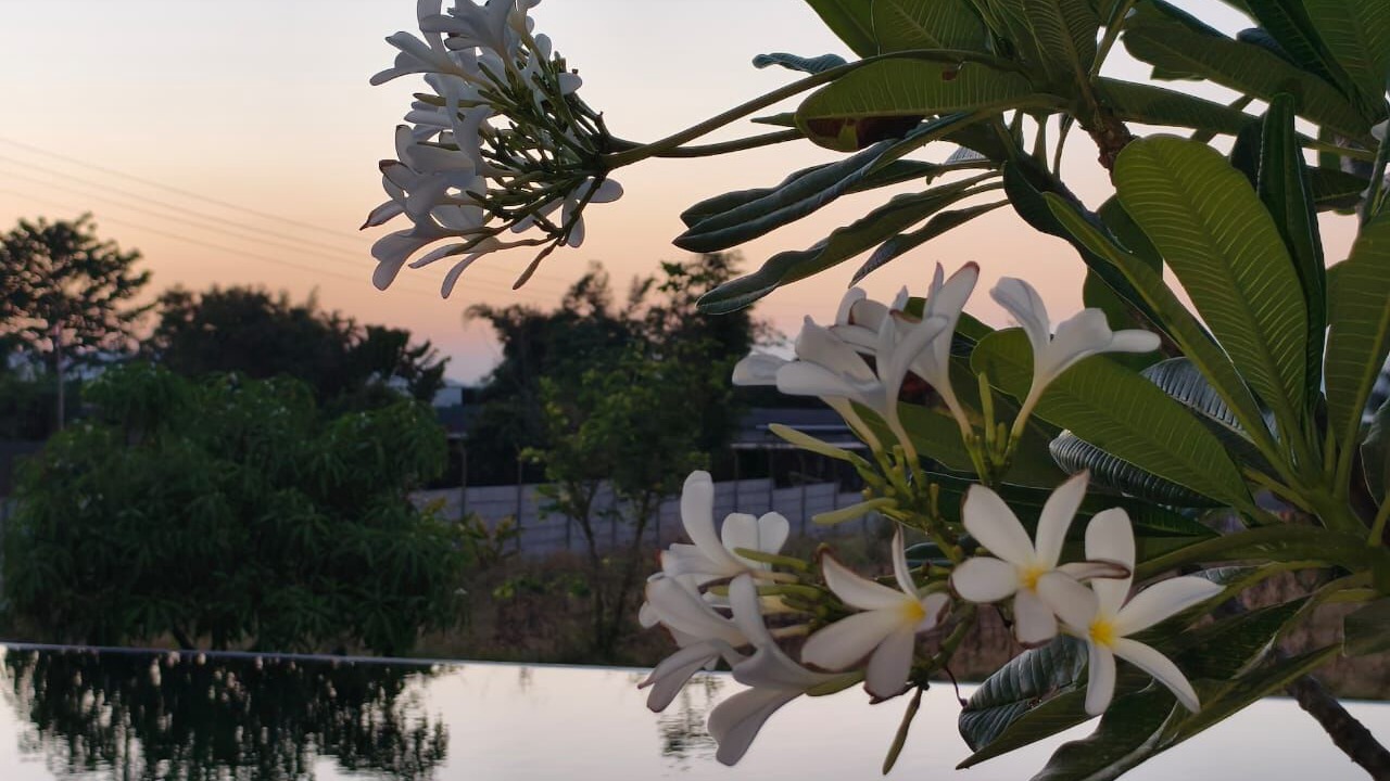 Photo of Outdoor in Gangavhare