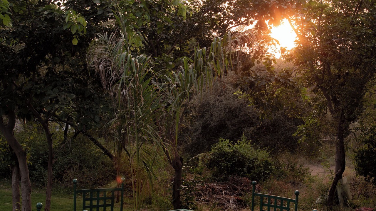 Photo of Outdoor in Desuri