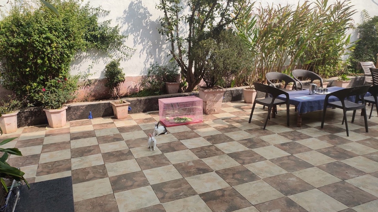 Photo of Outdoor in Amarkantak