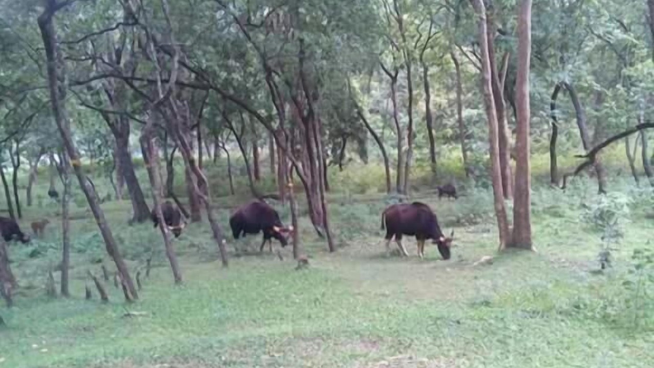 Photo of Others in Kanthalloor