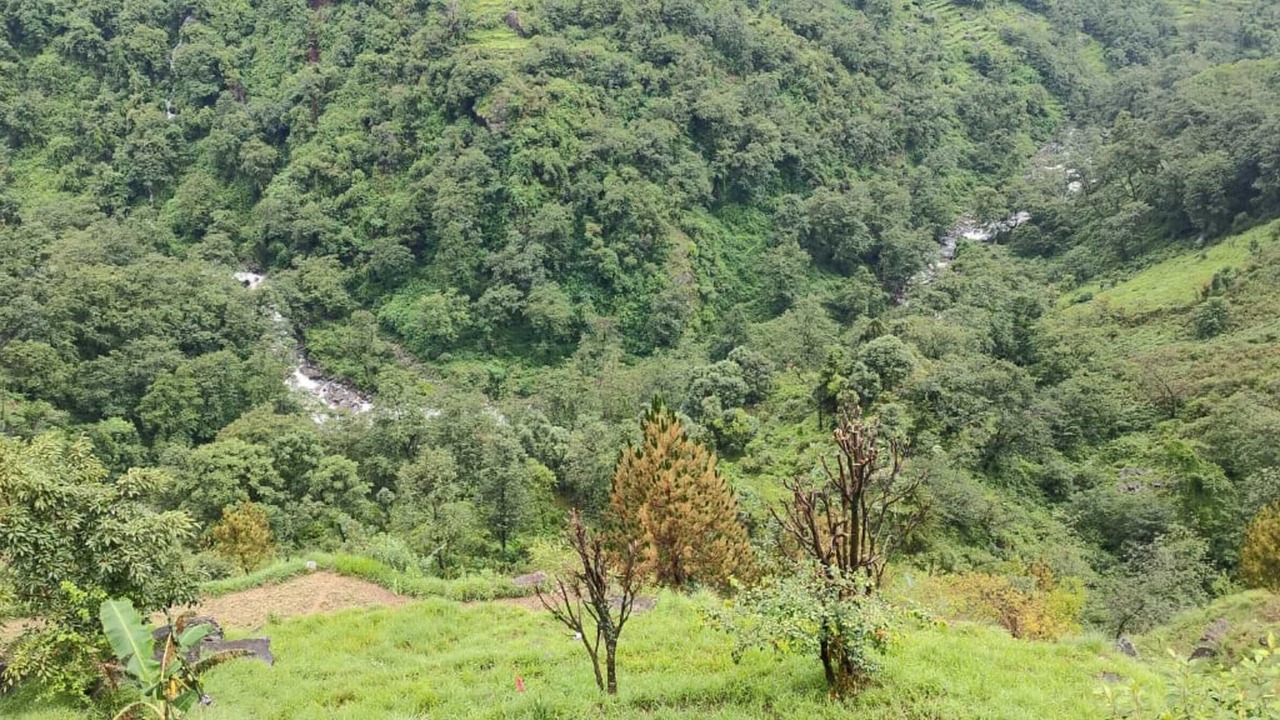 Photo of Others in Dugalbitta