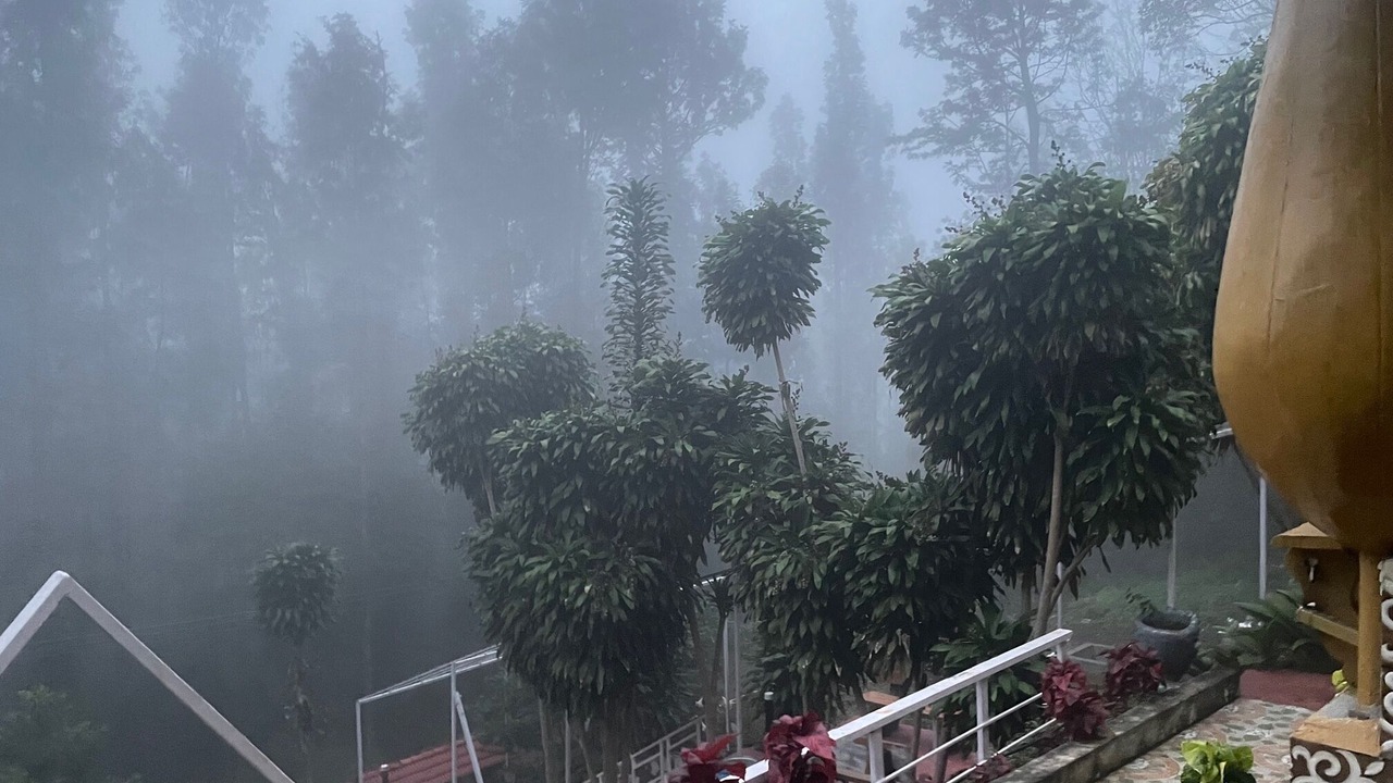 Photo of Others in Yercaud
