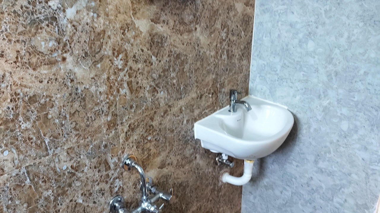 Photo of Bathroom in East Tambaram