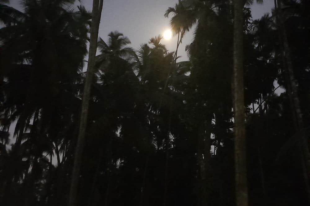 Photo of Others in Alibaug