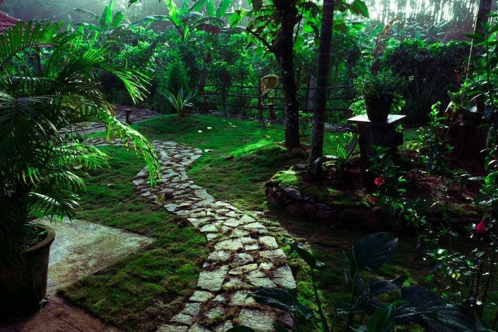 Photo of Outdoor in Sakleshpur