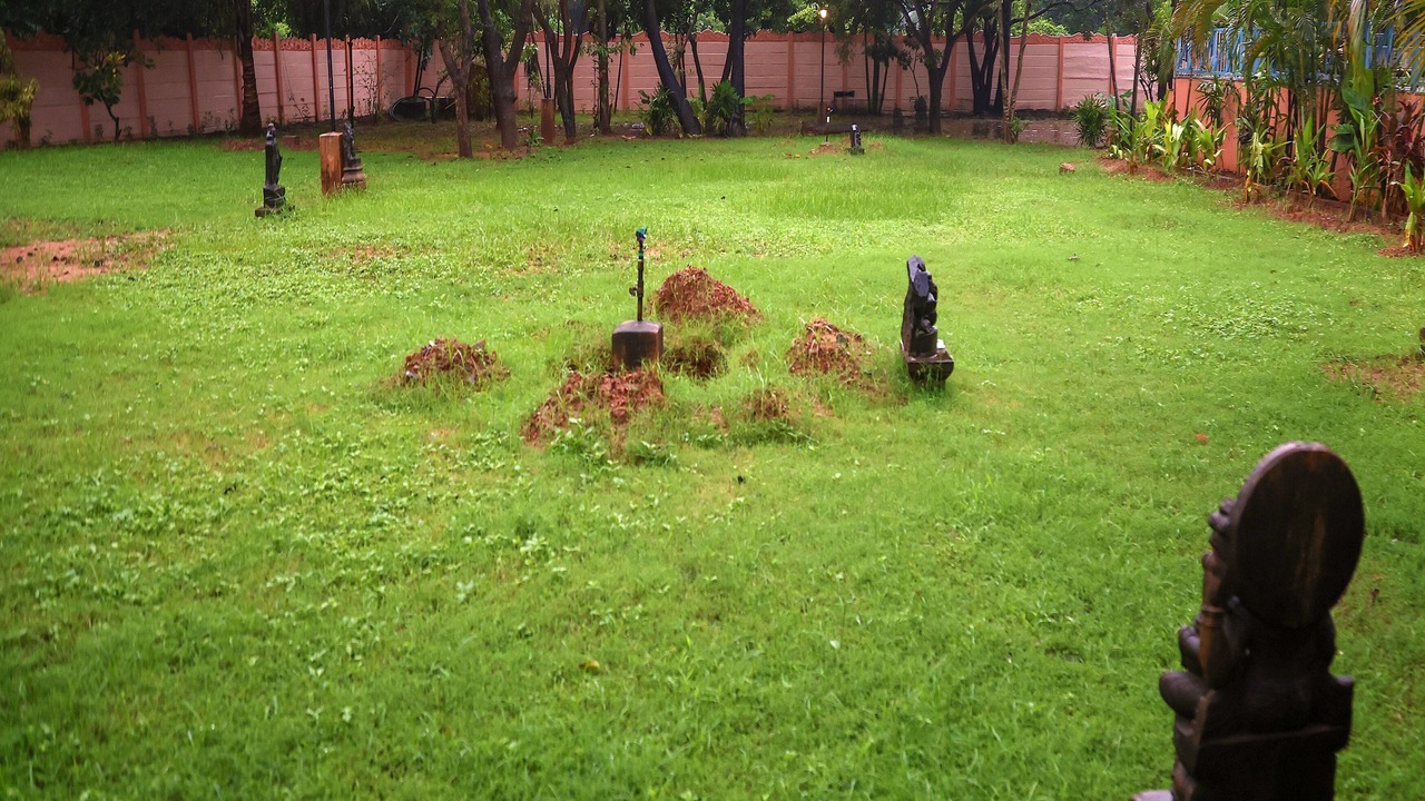 Photo of Outdoor in Pudukuppam