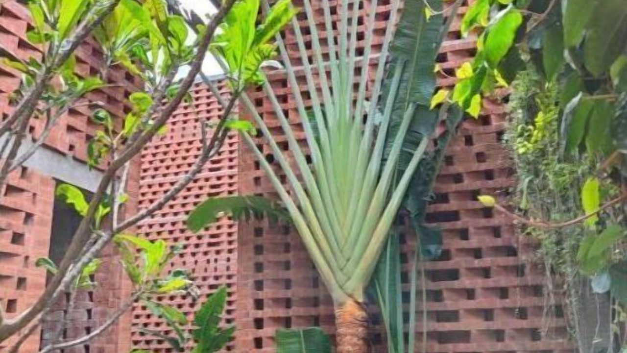 Photo of Outdoor in Pondicherry