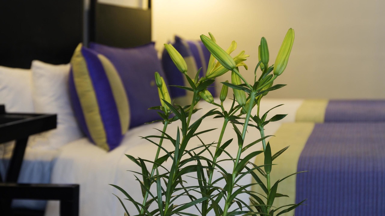Photo of Bedroom in Ulsoor