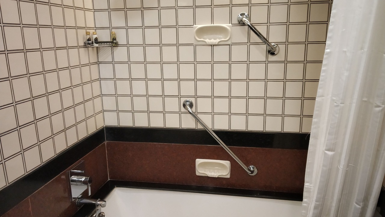 Photo of Bathroom in Alipur