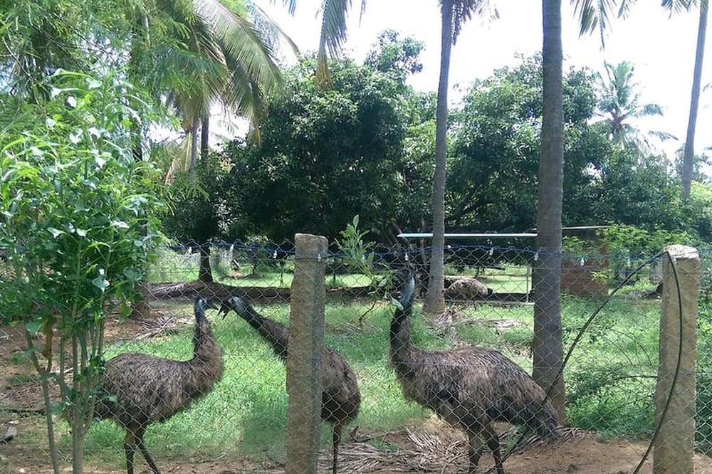 Photo of Outdoor in Chittur