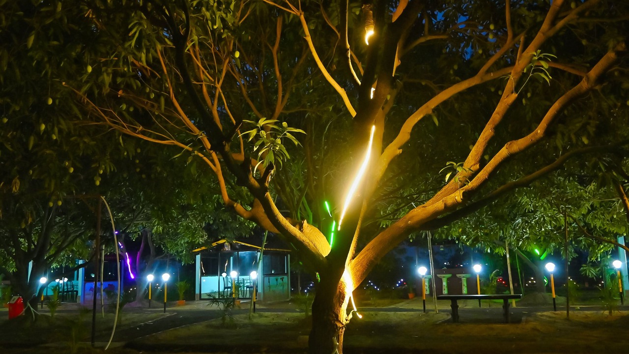 Photo of Outdoor in Bolpur