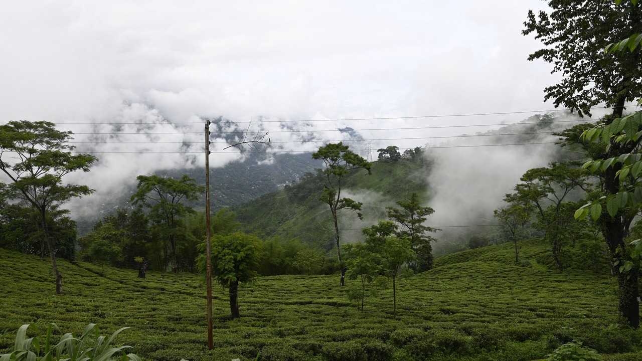 Photo of Outdoor in Darjeeling