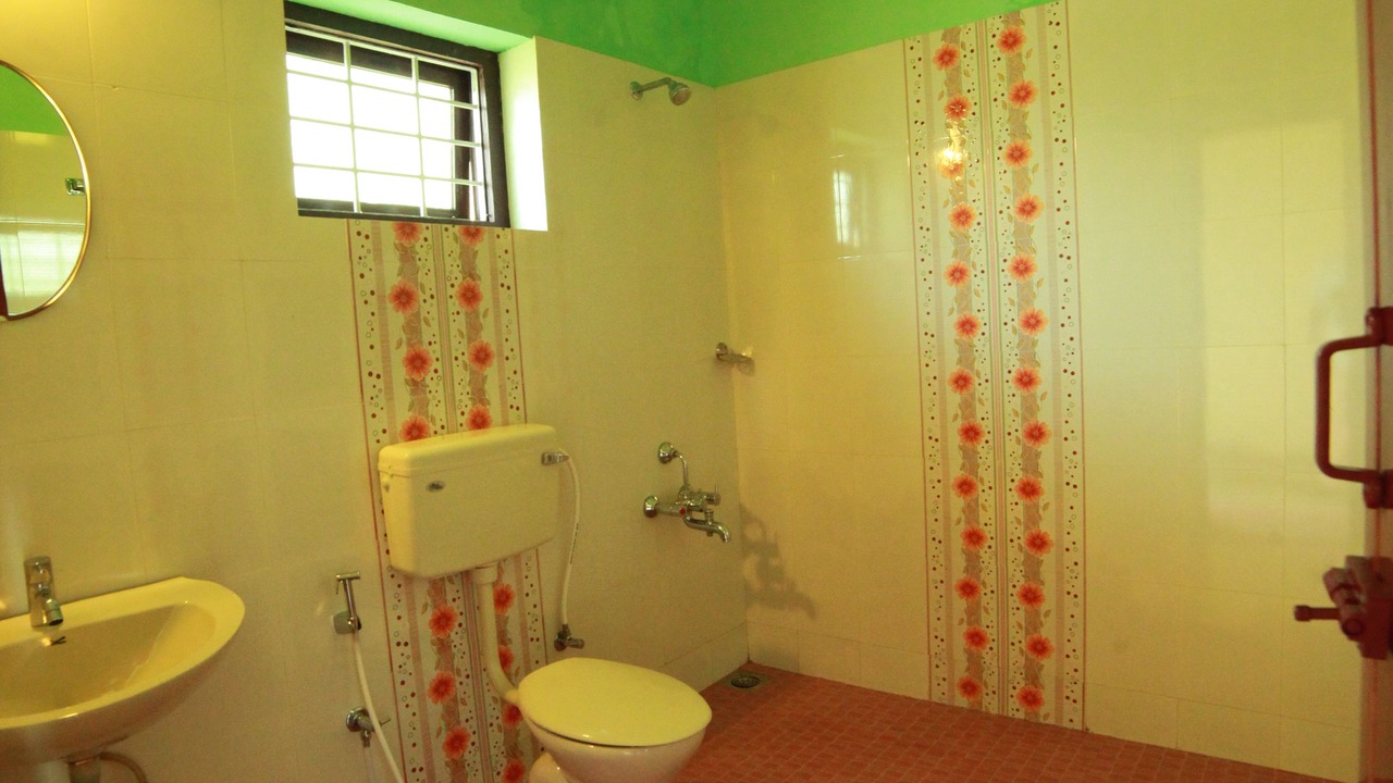 Photo of Bathroom in Kumily