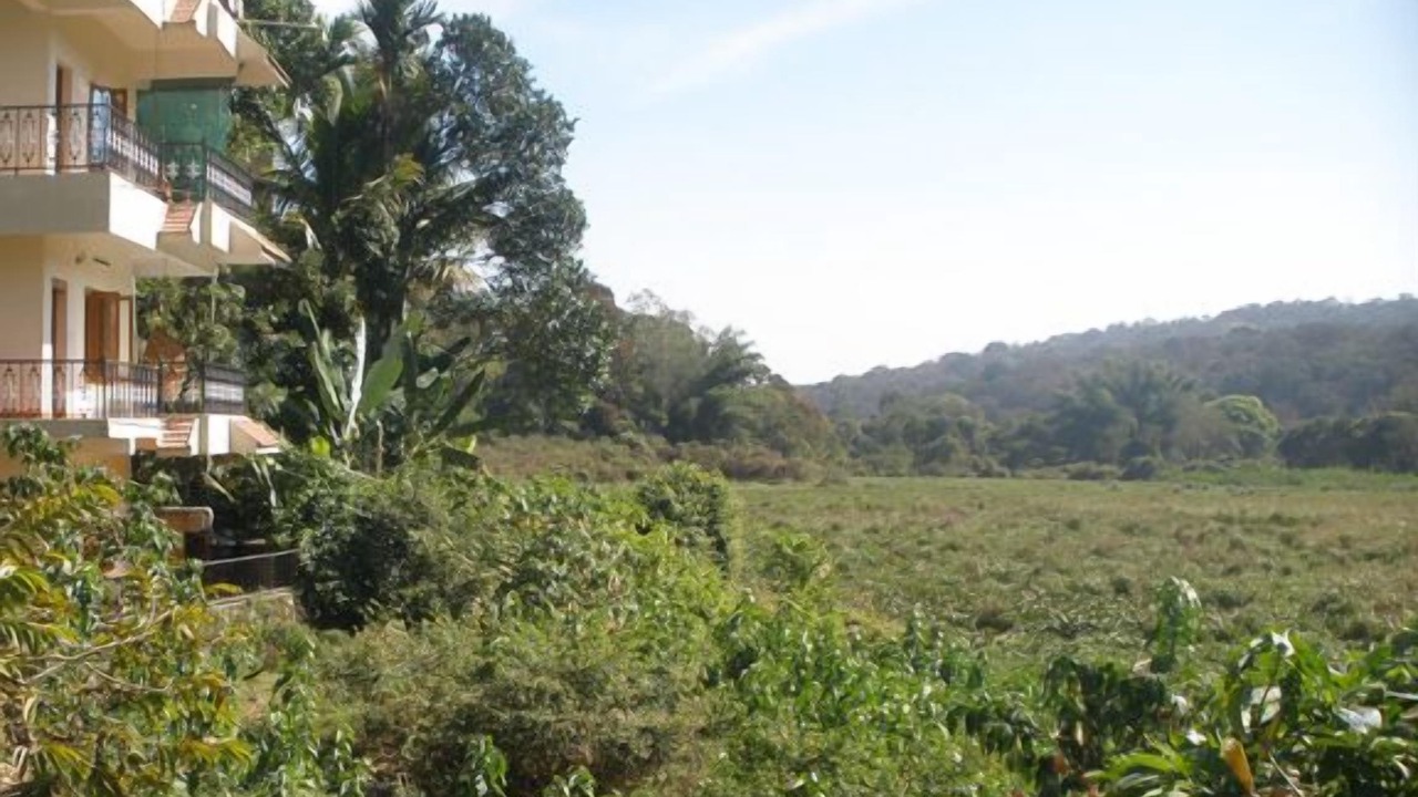 Photo of Outdoor in Kumily