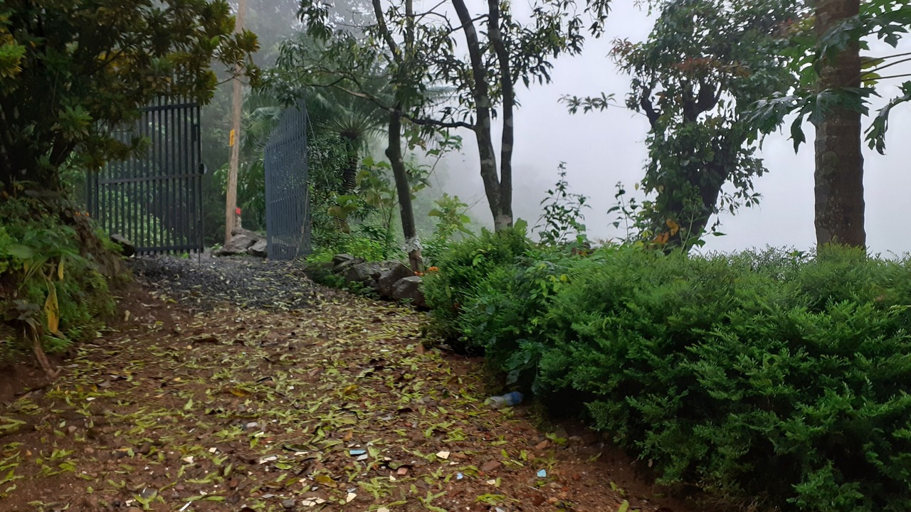Photo of Outdoor in Pala