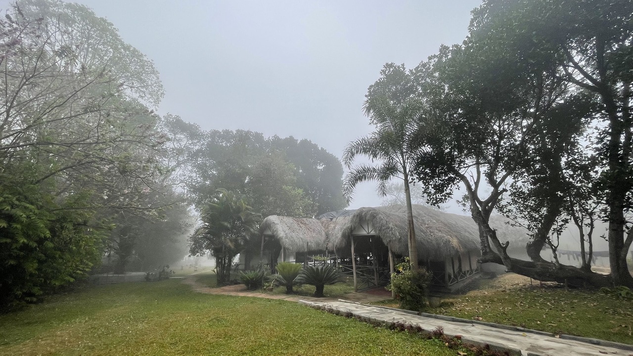 Photo of Outdoor in Kushalnagar