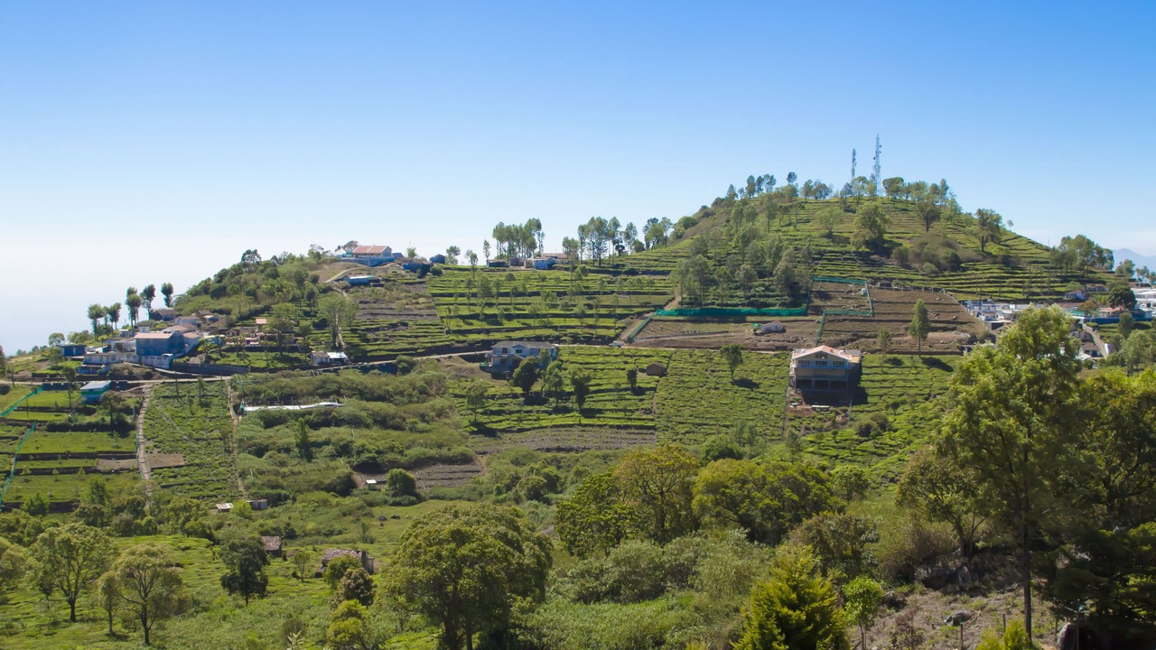 Photo of Outdoor in Kotagiri