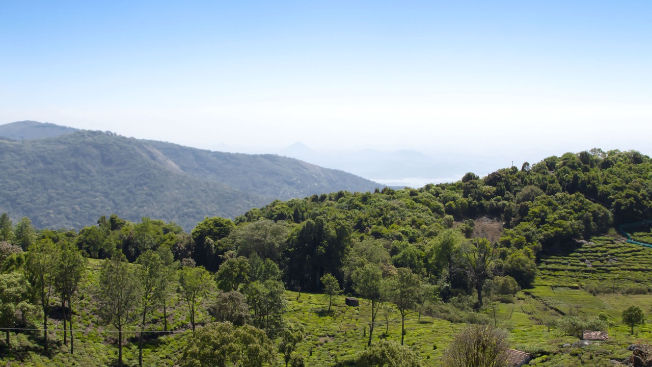 Photo of Others in Kotagiri