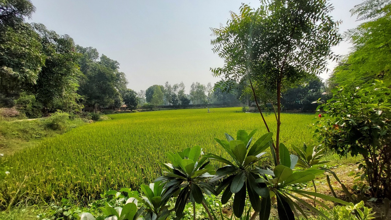 Photo of Outdoor in Mohanlalganj