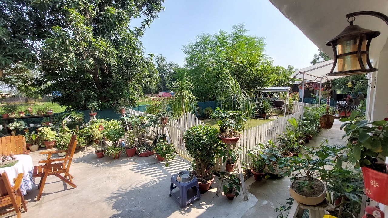 Photo of Patio Balcony in Mohanlalganj