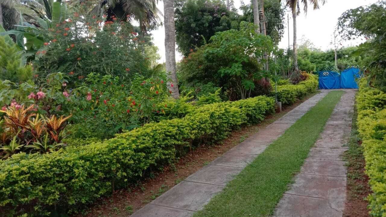Photo of Outdoor in Mysore