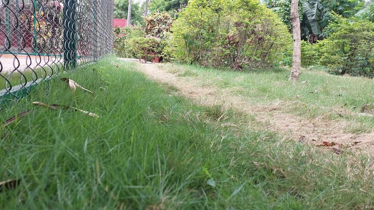 Photo of Outdoor in Mysore
