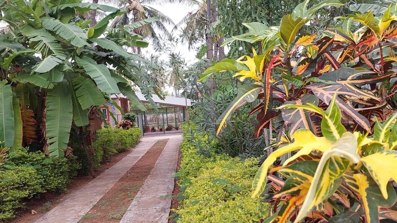 Photo of Outdoor in Mysore