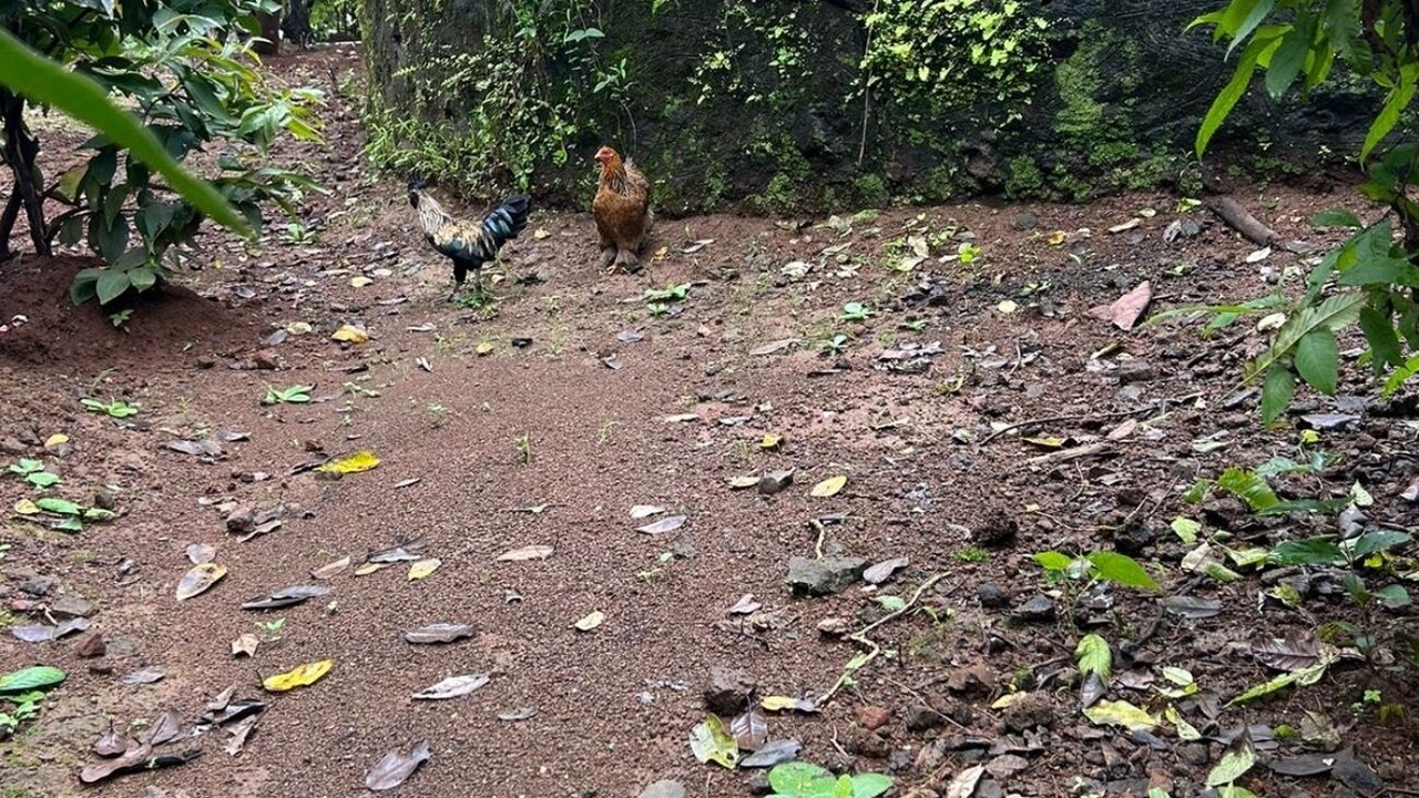 Photo of Outdoor in Karjat