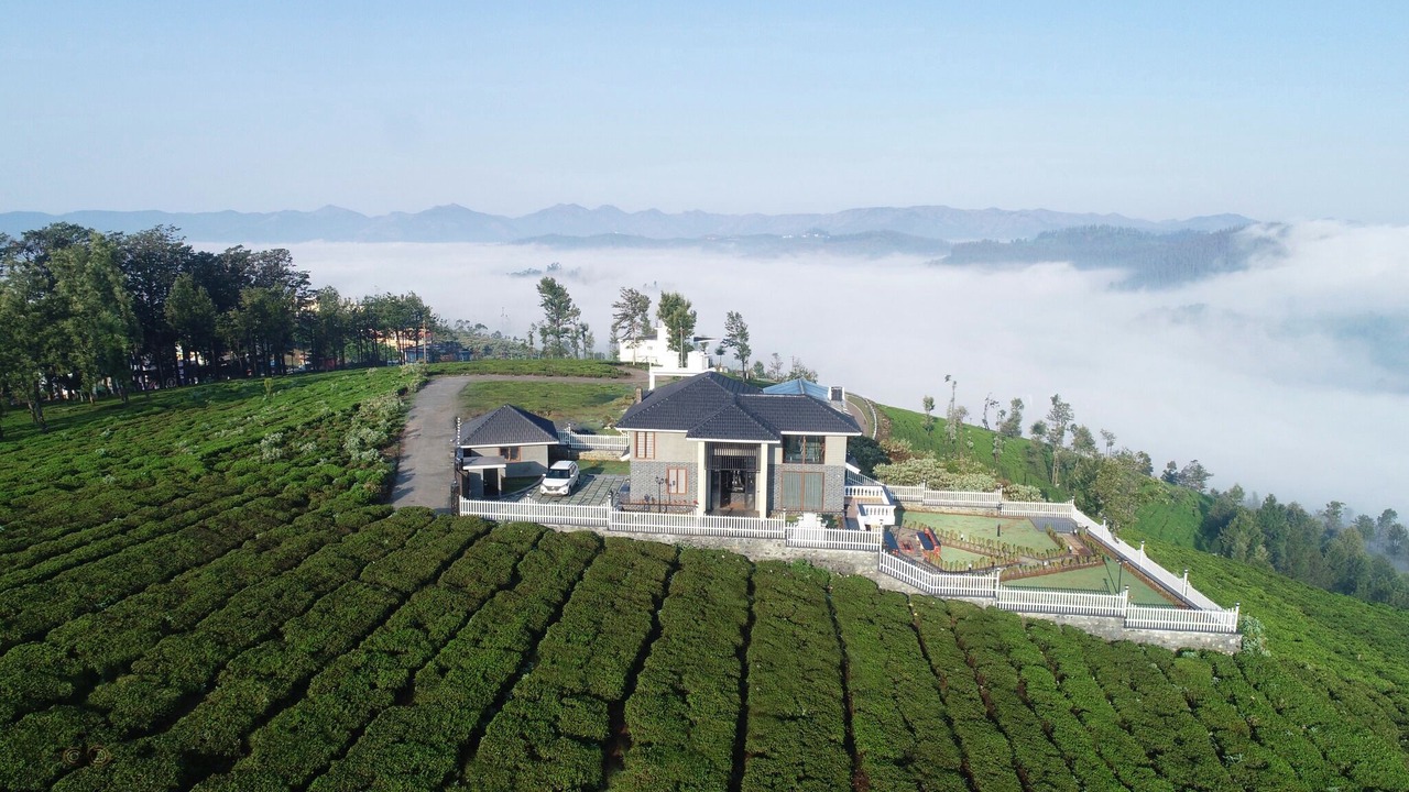 Photo of Outdoor in Lovedale