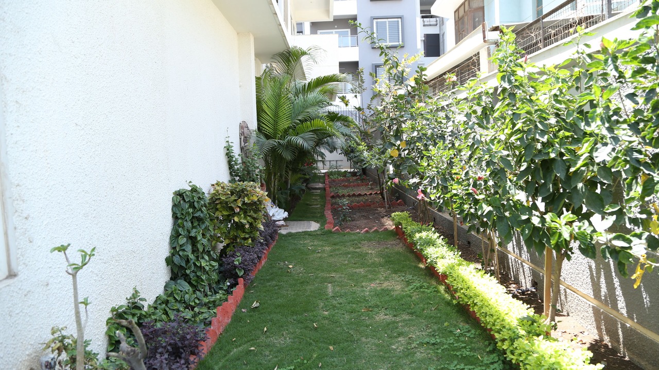 Photo of Outdoor in Bicholi Mardana