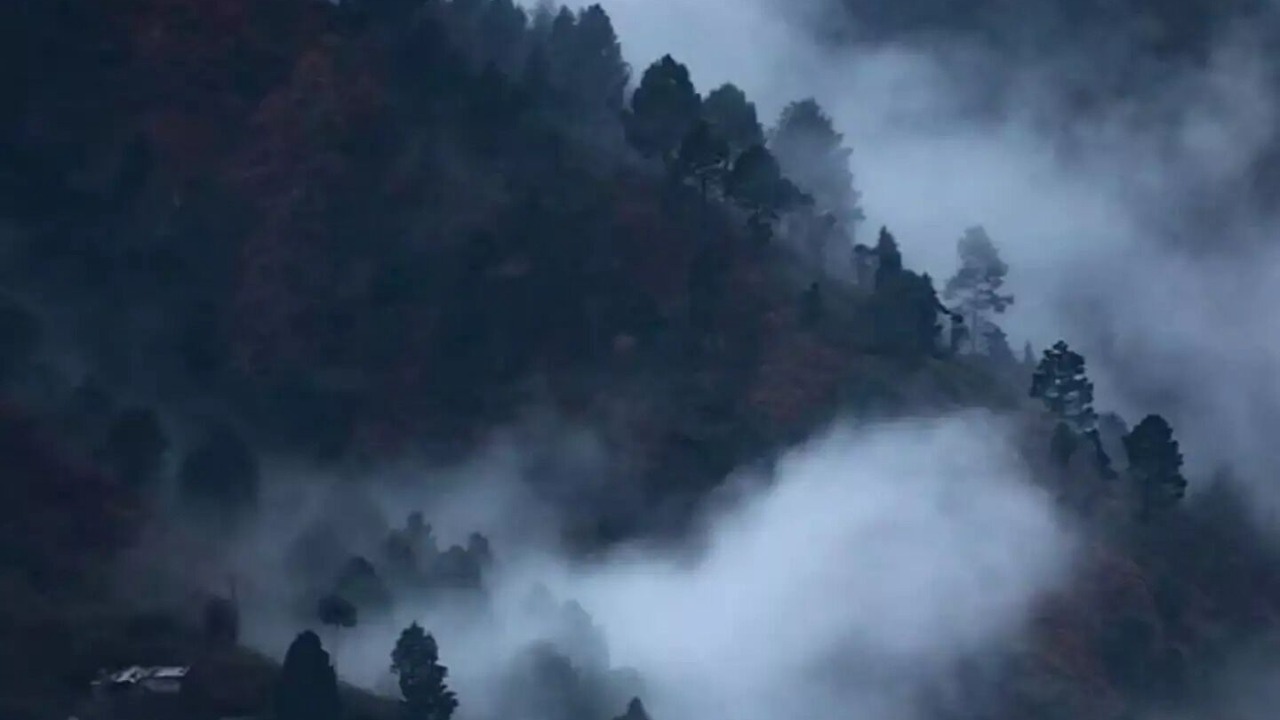 Photo of Outdoor in Bhowali