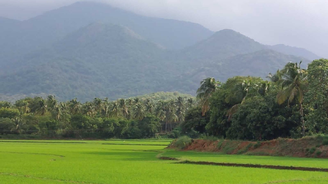 Photo of Others in Tenkasi