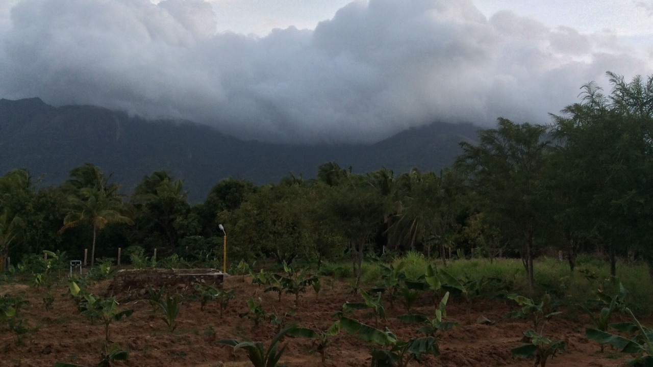 Photo of Outdoor in Tenkasi