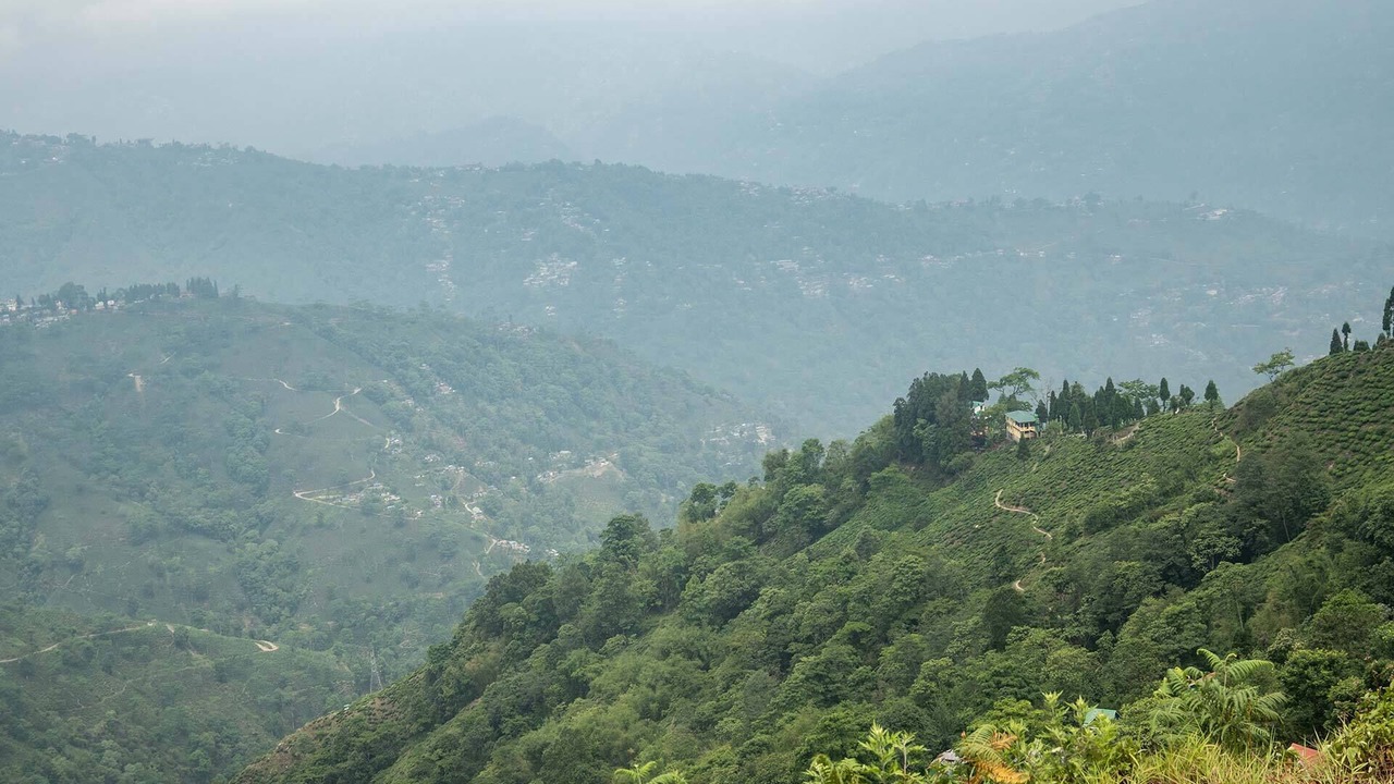 Photo of Others in Darjeeling