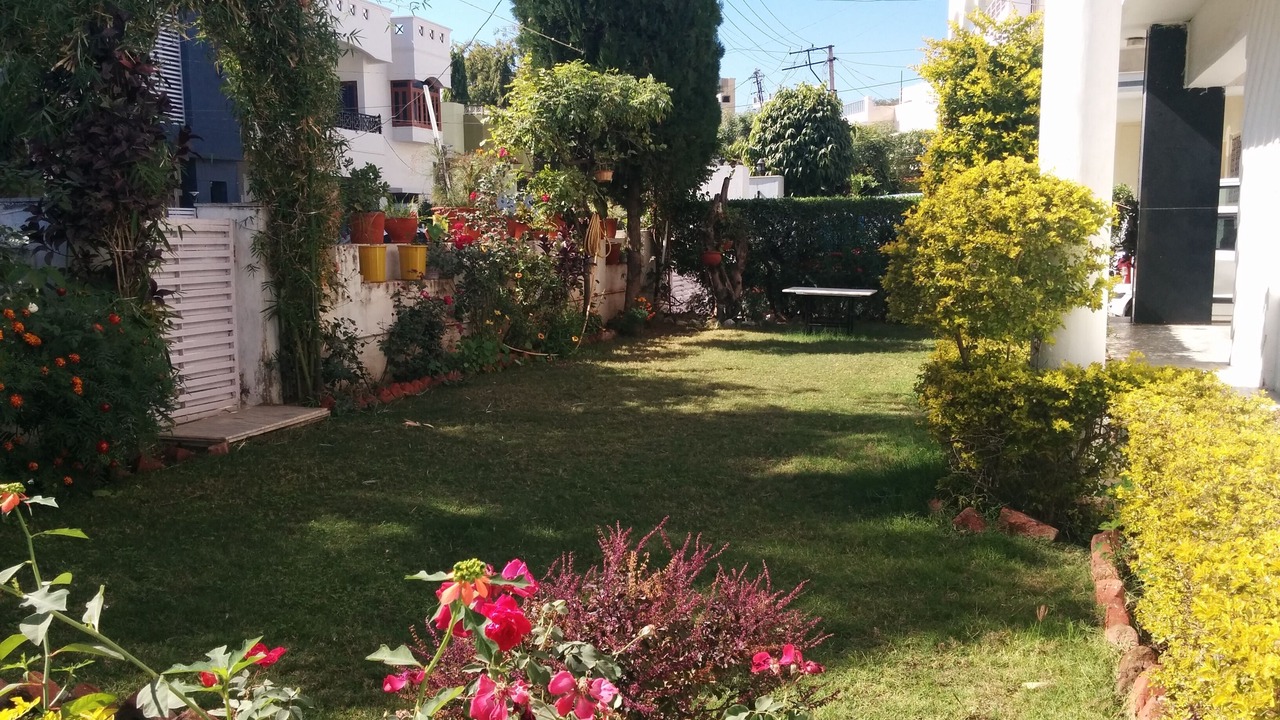 Photo of Outdoor in Udaipur