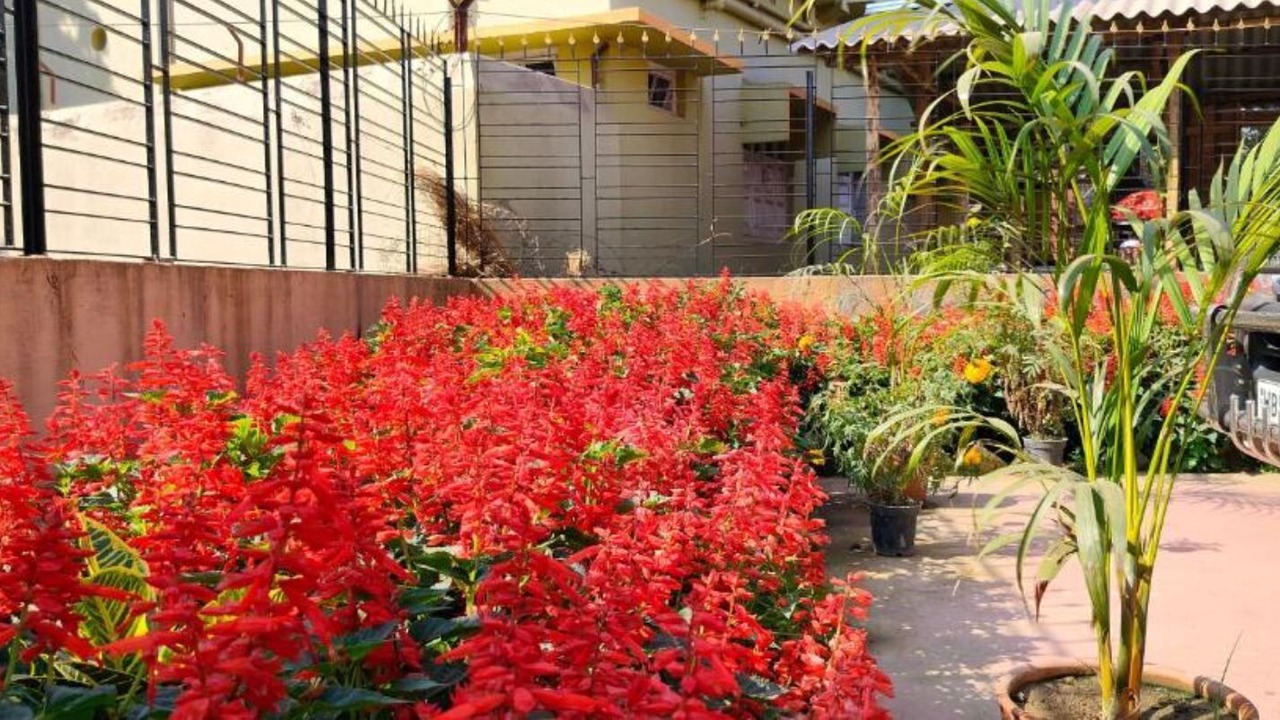 Photo of Outdoor in Santiniketan