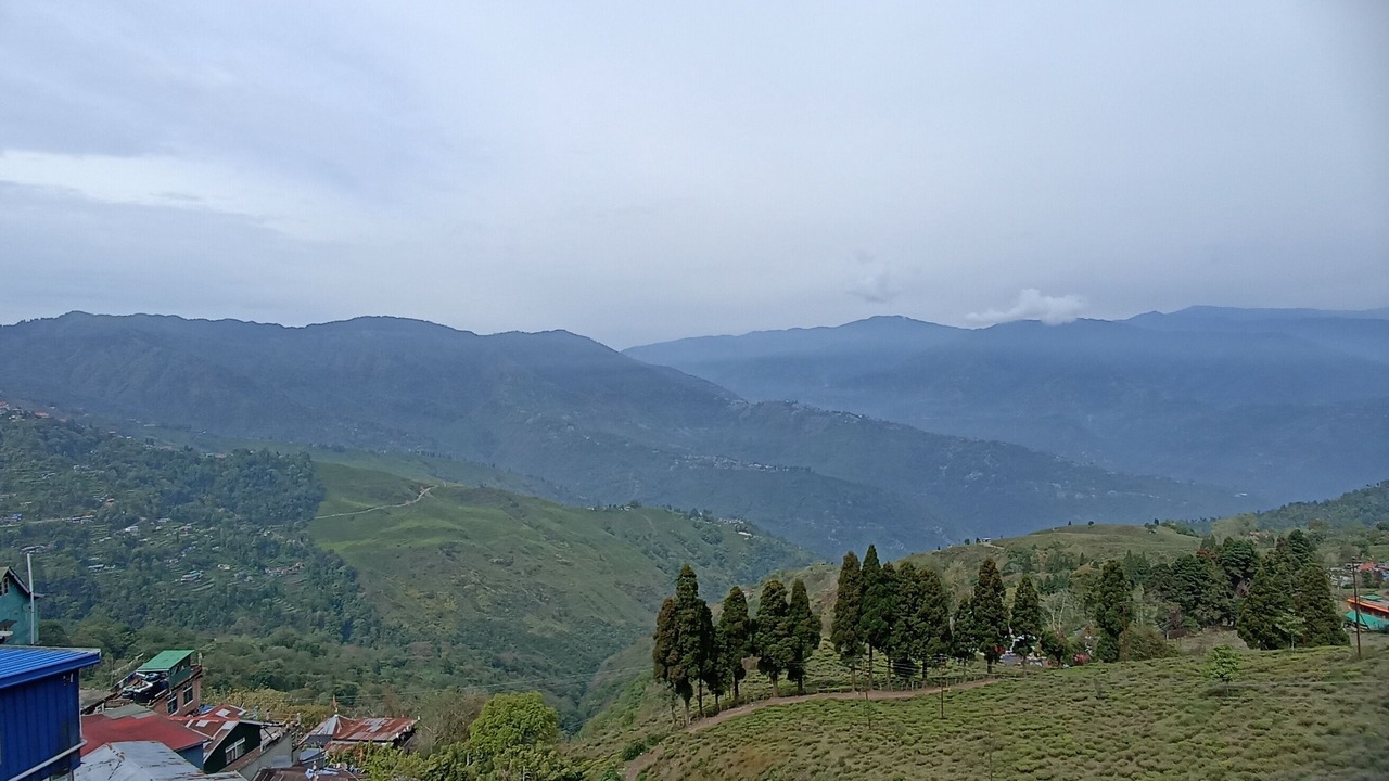 Photo of Others in Darjeeling