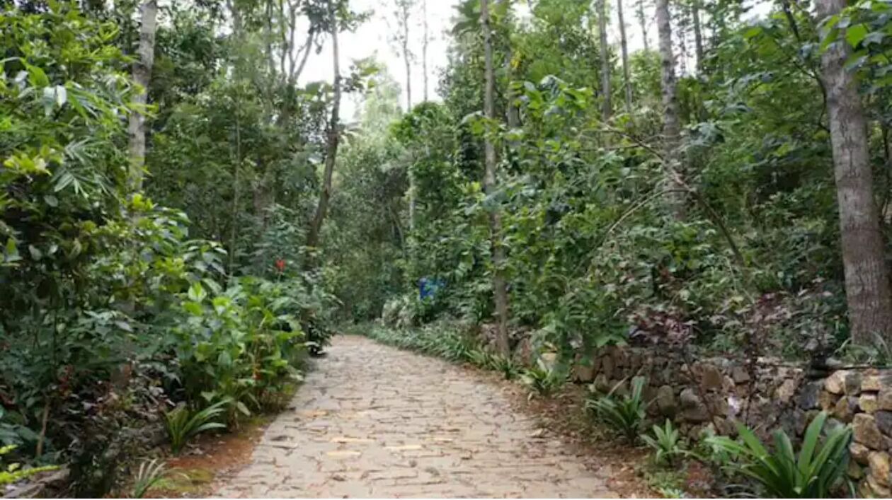 Photo of Outdoor in Yercaud