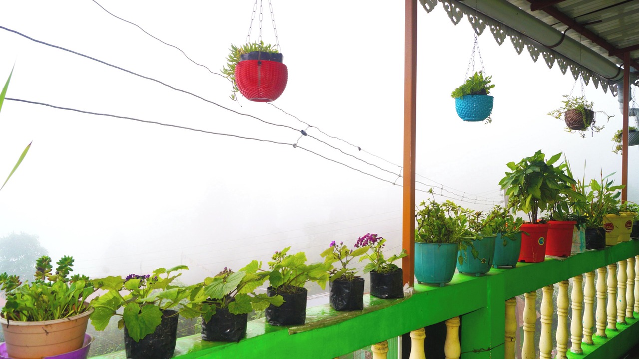 Photo of Outdoor in Ghoom
